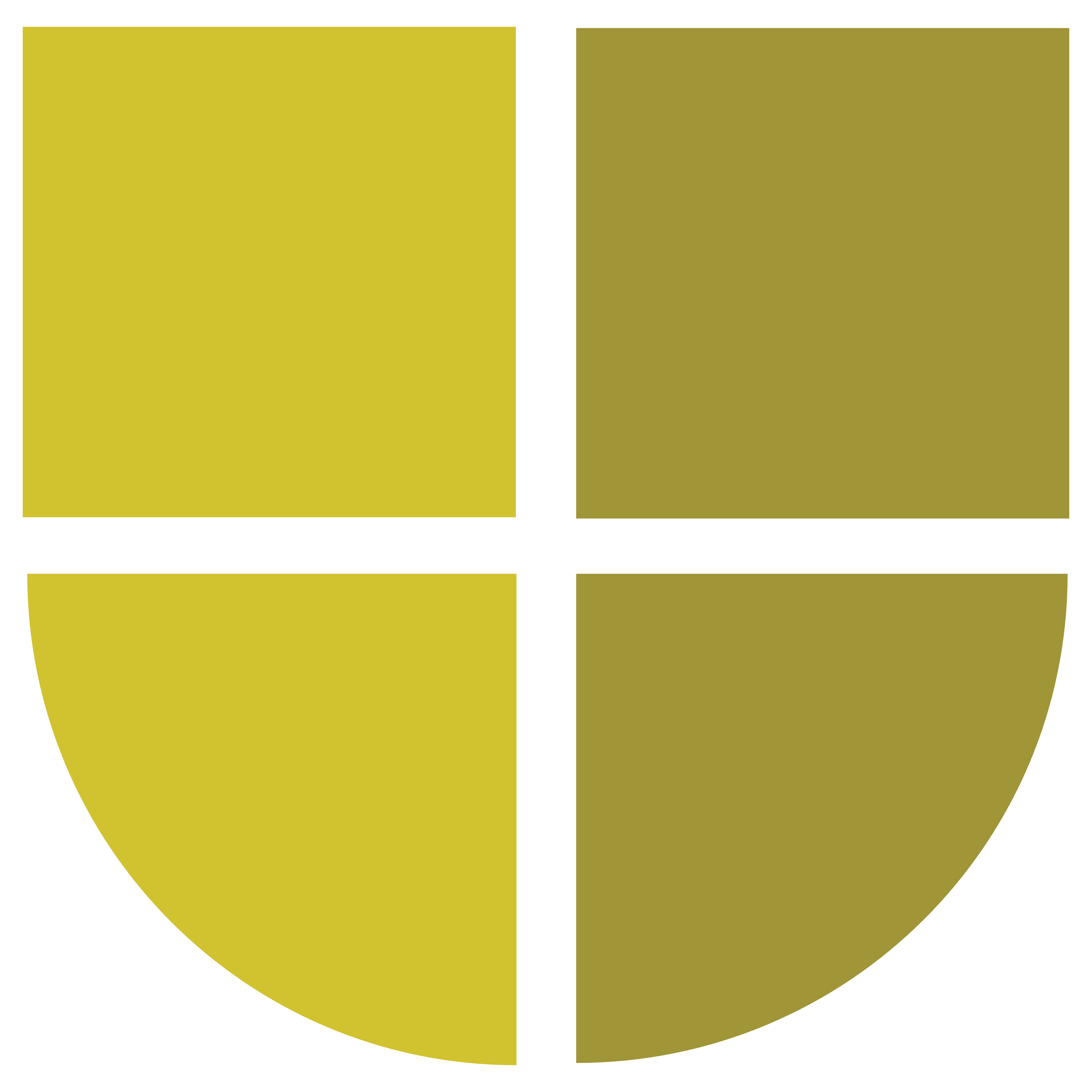 WWS Segurança